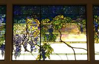 Florida, Winter Park, Charles Hosmer Morse Museum of American Art: Wisteria